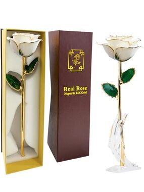 Real Rose 24K Gold Dipped White and Green Decorative Rose 🌹